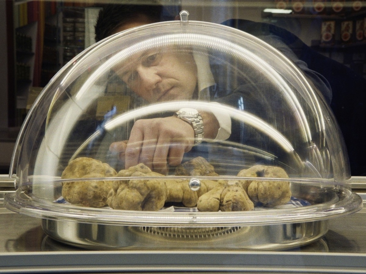 The Truffle Hunters, 2020, Michael Dweck, Gregory Kershaw (Foto: Viennale) The Truffle Hunters, 2020, Michael Dweck, Gregory Kershaw (Foto: Viennale)