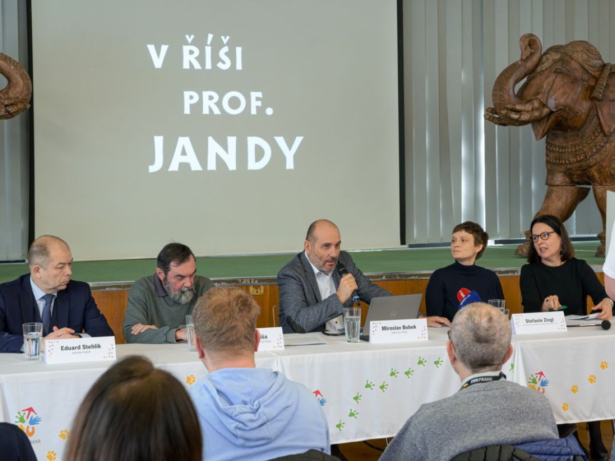 Stefanie Zingl bei der Pressekonferenz im Prager Zoo, Februar 2023 © Prager Zoo/Petr Hamerník