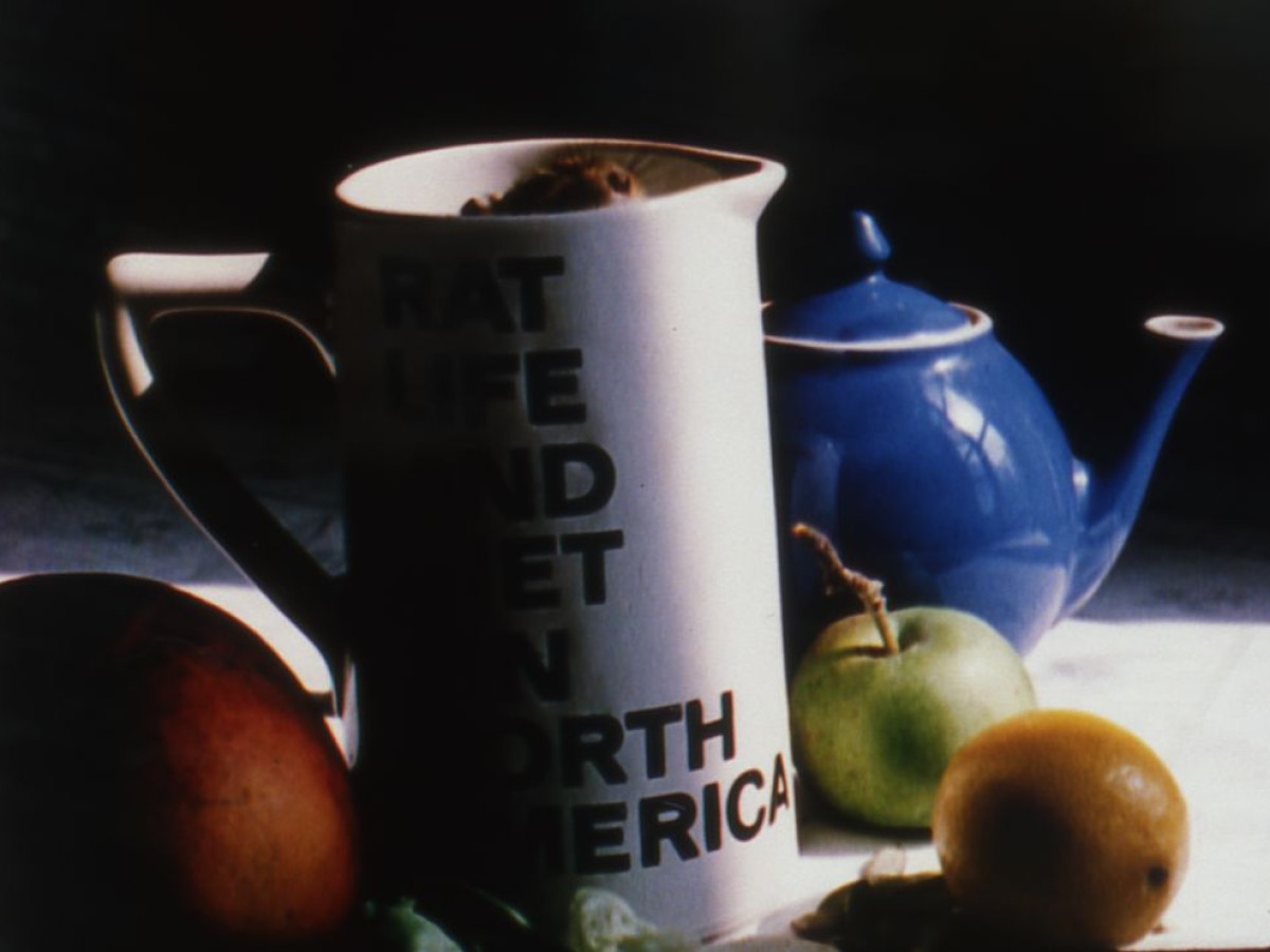 Rat Life and Diet in North America, 1969, Joyce Wieland (Foto: Light Cone) Rat Life and Diet in North America, 1969, Joyce Wieland (Foto: Light Cone)