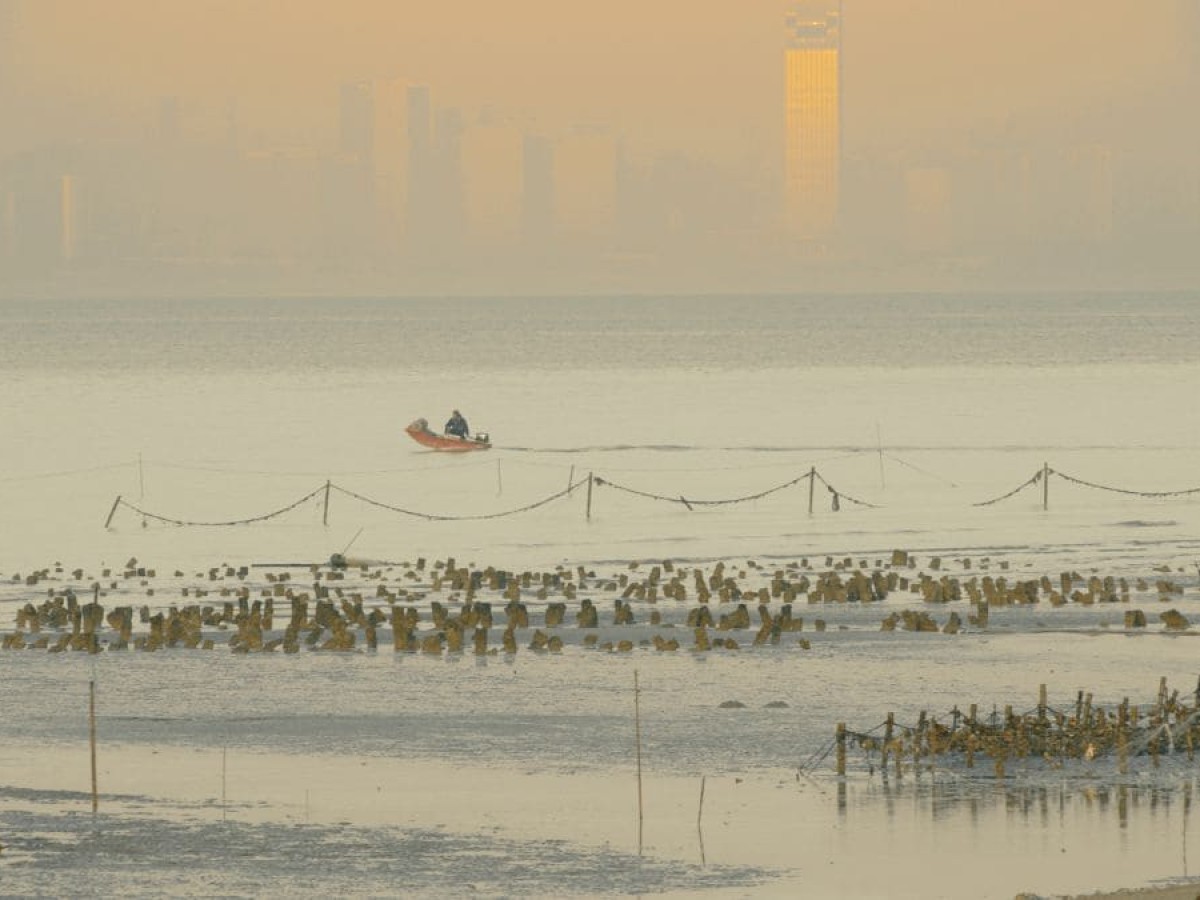 Overt Listening, 2026, Tiffany Sia (Foto: Kunsthalle Wien)