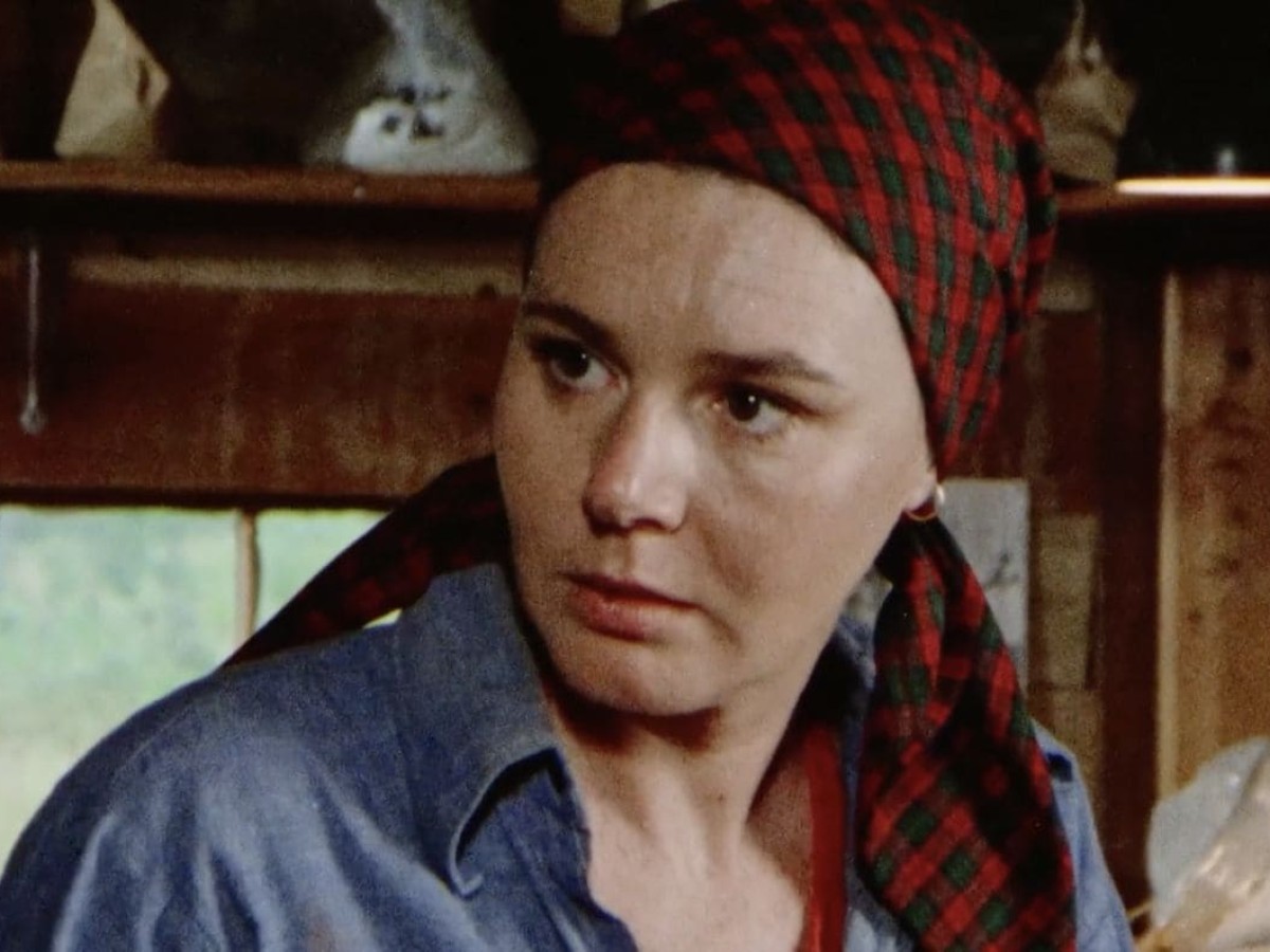 Pilgrim, Farewell, 1980, Michael Roemer