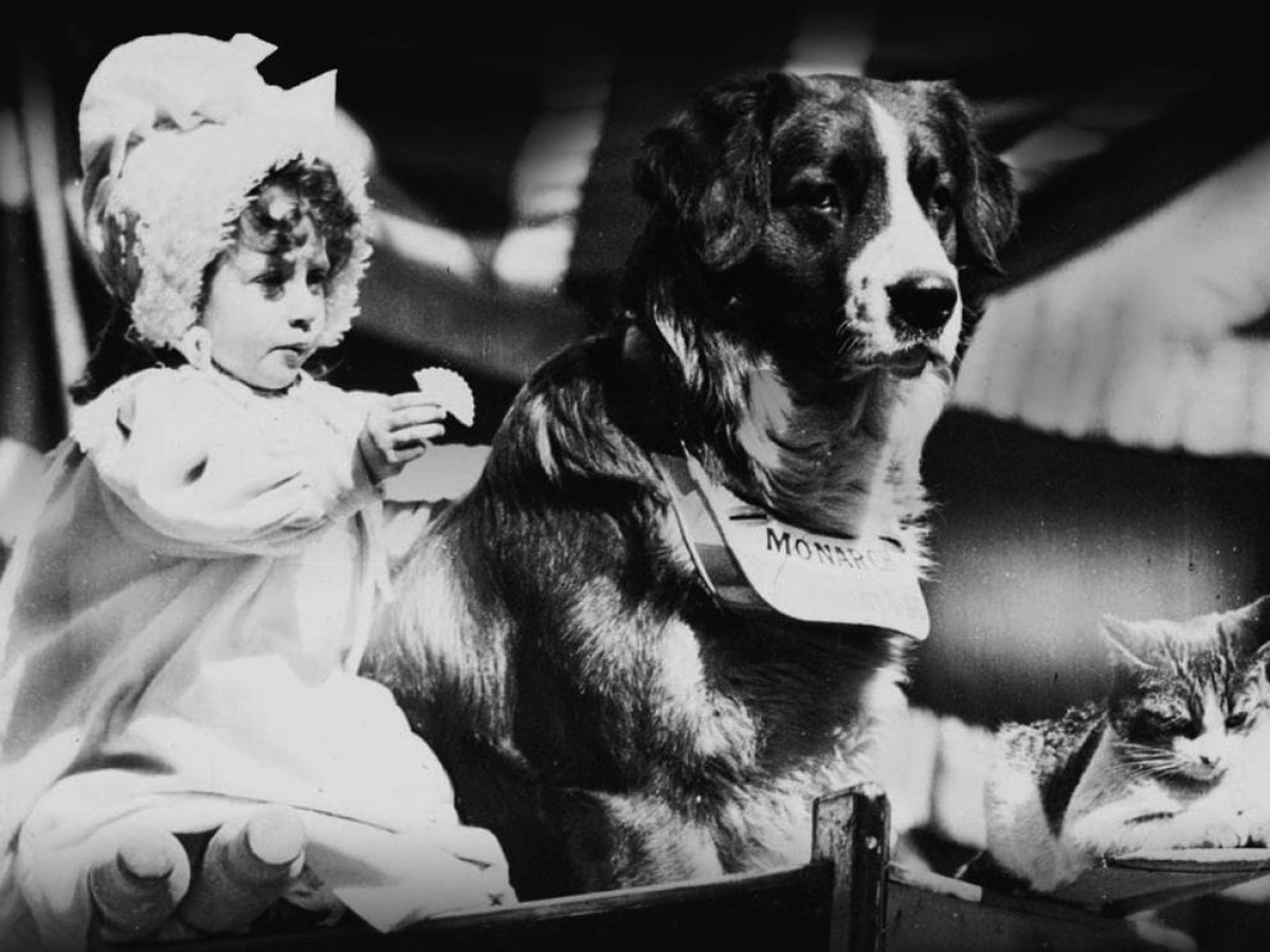 Film von William Kennedy-Laurie Dickson (Foto: British Film Institute)