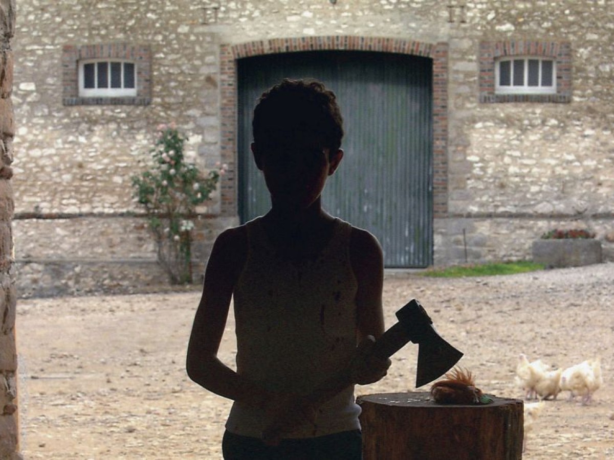 Caché, 2005, Michael Haneke