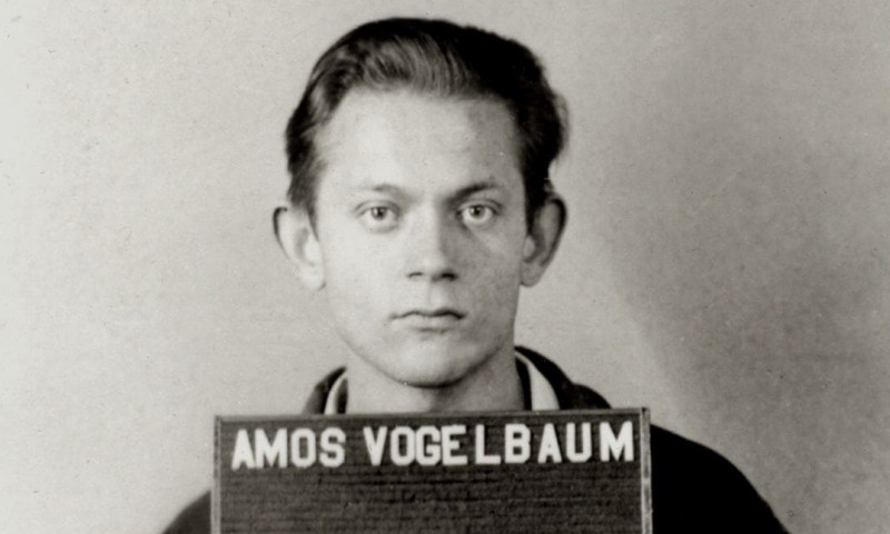 Amos Vogel. Mosaik im Vertrauen, 2001, Egon Humer