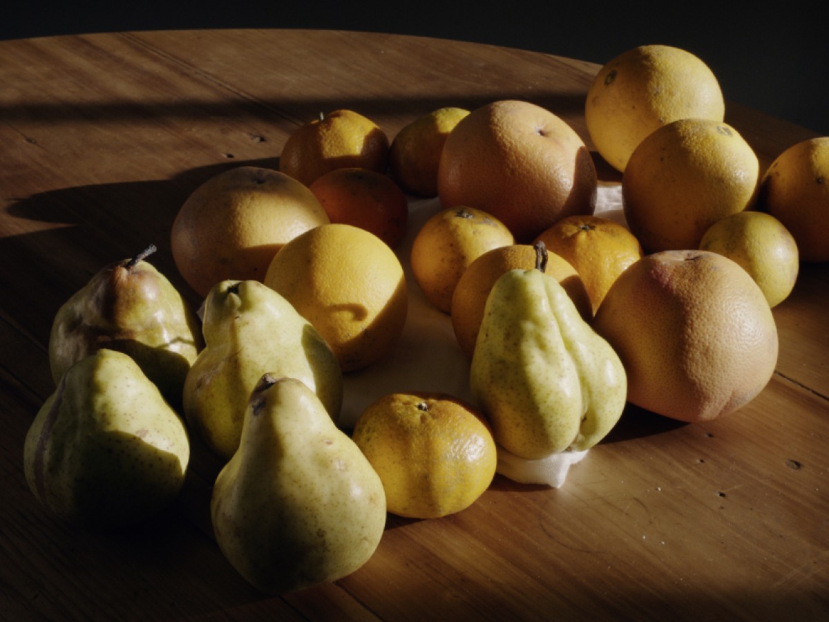 Circumplector, 2019, Gastón Solnicki © Viennale Circumplector, 2019, Gastón Solnicki © Viennale