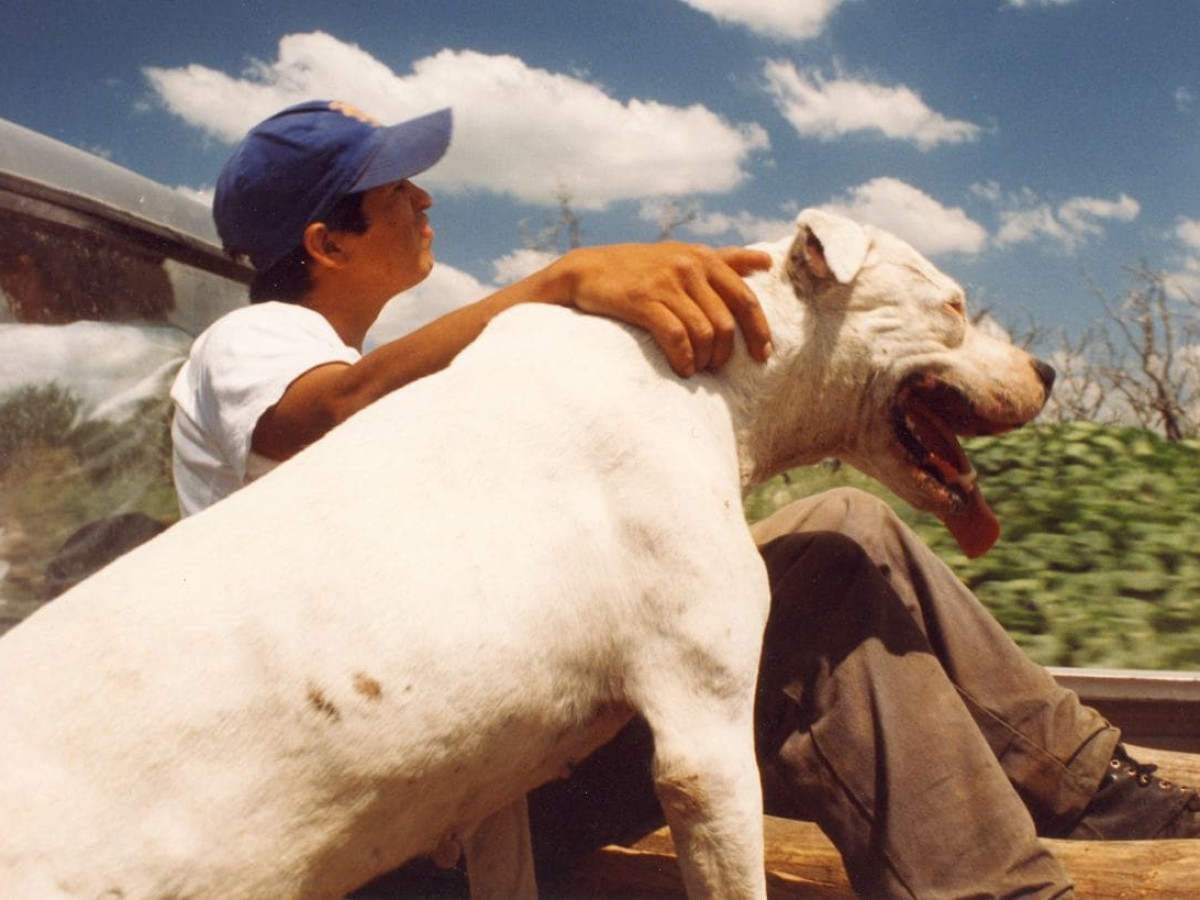La Libertad, 2001, Lisandro Alonso