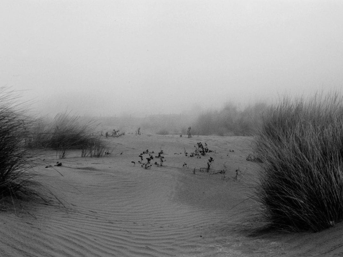 Sea Concrete Human (Malfunctions #1), 2001, Michael Palm