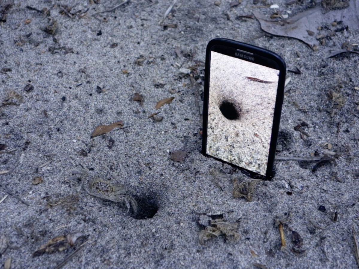 In Times of Deception, 2019, Michael Heindl © Viennale In Times of Deception, 2019, Michael Heindl © Viennale