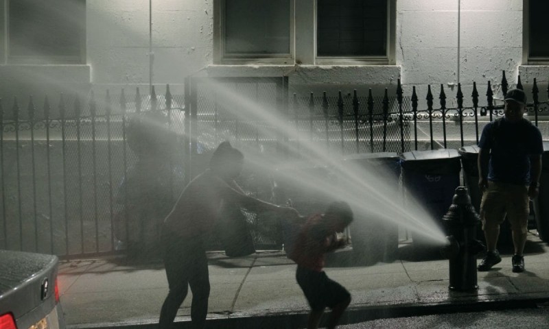 New News from Another Home, 2024, Borjana Ventzislavova