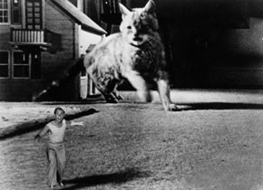 The Incredible Shrinking Man The Incredible Shrinking Man