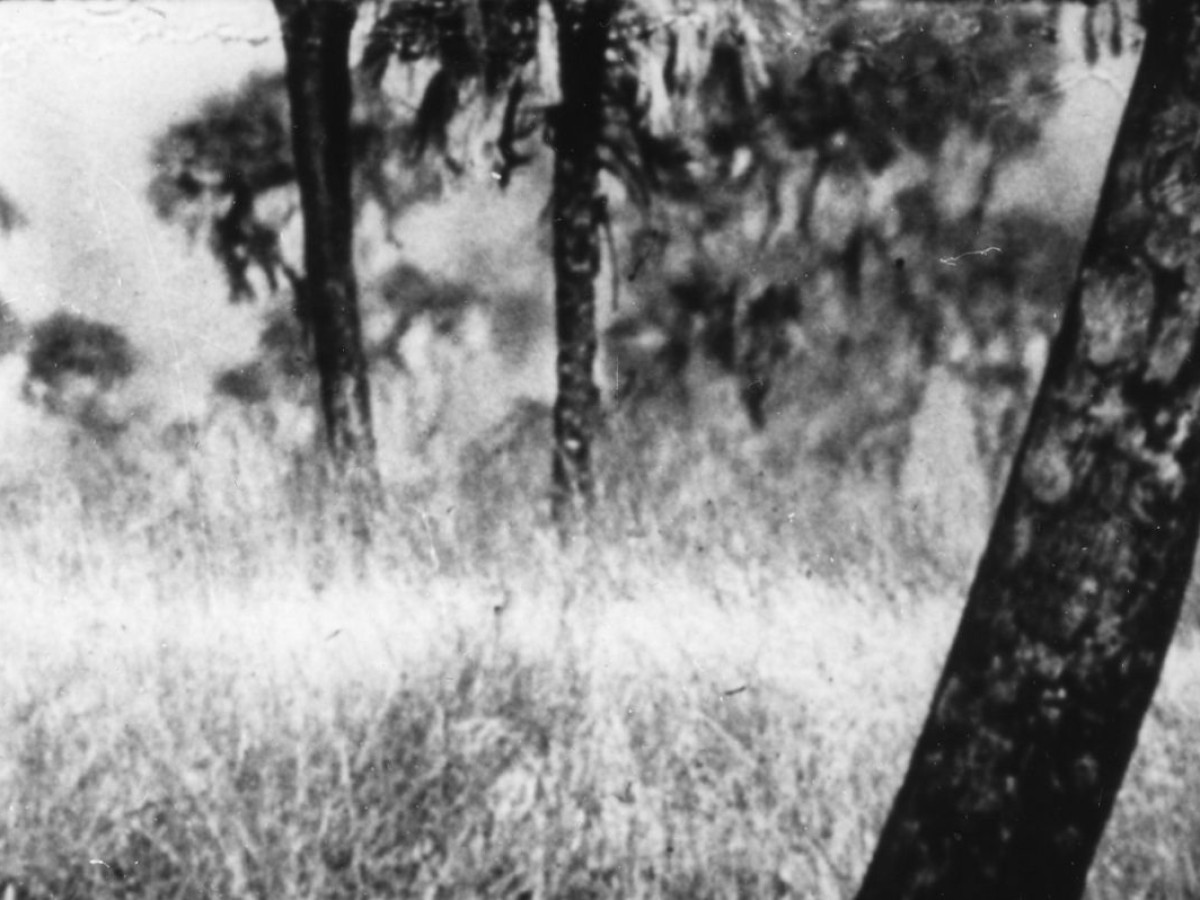 Unsere Afrikareise, 1966, Peter Kubelka