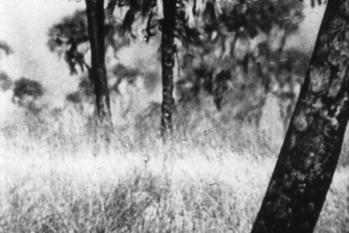 Unsere Afrikareise, 1966, Peter Kubelka Unsere Afrikareise, 1966, Peter Kubelka