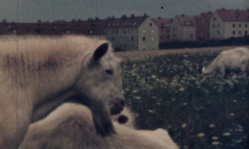 Am Rande der Großstadt, 1965 Am Rande der Großstadt, 1965