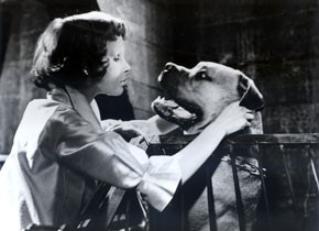 Les Yeux sans visage (Augen ohne Gesicht), 1960, Georges Franju Les Yeux sans visage (Augen ohne Gesicht), 1960, Georges Franju