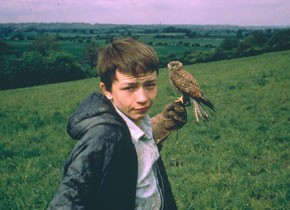 Kes © Park Circus Kes © Park Circus