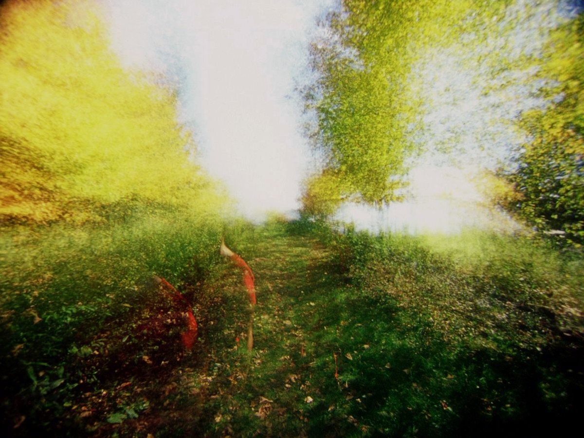 brouillard #14, 2013, Alexandre Larose brouillard #14, 2013, Alexandre Larose
