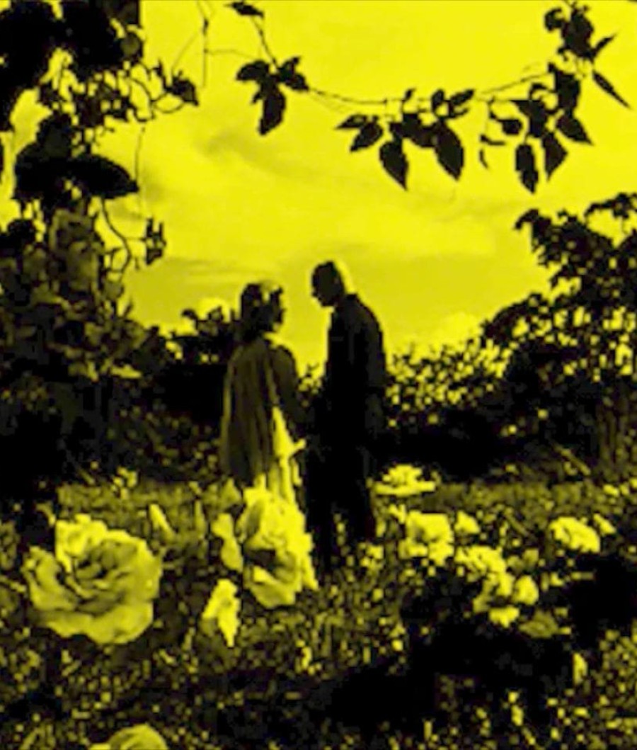 This Is Not a Lost Film, 2013–2018, Khavn 