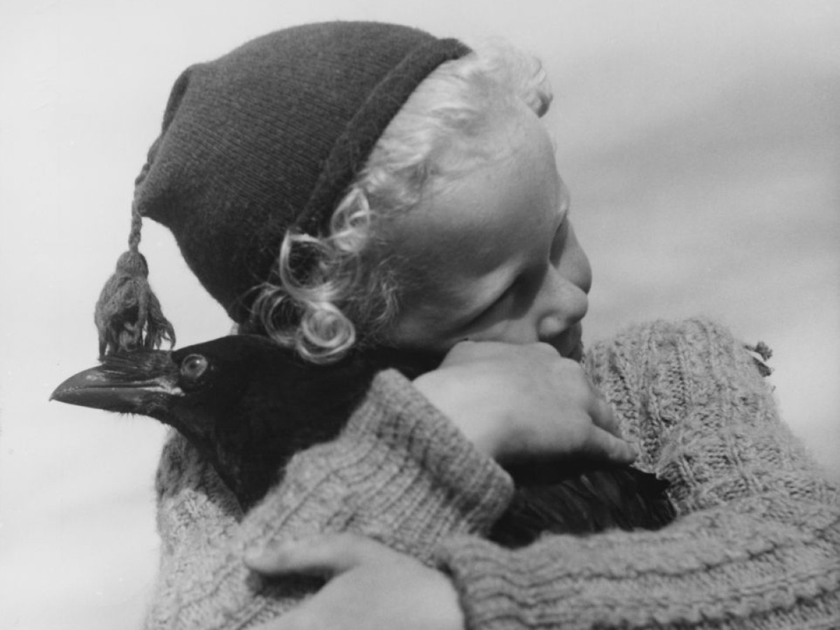 Det stora äventyret (Das große Abenteuer), 1953, Arne Sucksdorff (Foto: Swedish Film Institute) Det stora äventyret (Das große Abenteuer), 1953, Arne Sucksdorff (Foto: Swedish Film Institute)