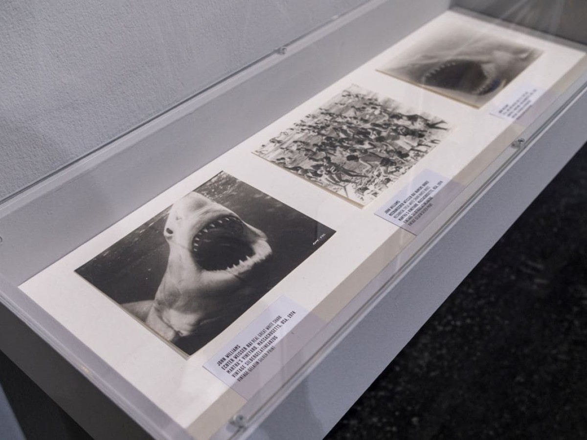 Ausstellung "Unter Wasser" im Westlicht mit Leihgaben aus der FIlmbezogenen Sammlung, April 2026 (Foto: ÖFM © Eszter Kondor)