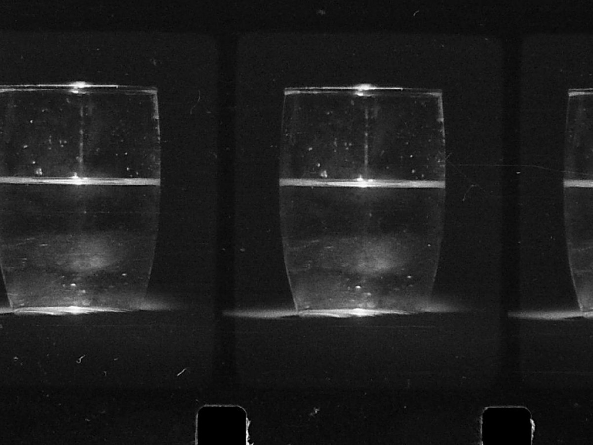 16mm_1, 2017, binta diallo 16mm_1, 2017, binta diallo