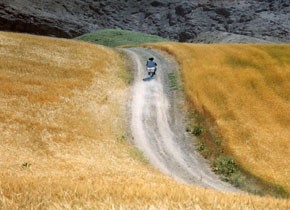 Le Vent nous emportera / Bad ma ra khahad bord, 1999, Abbas Kiarostami