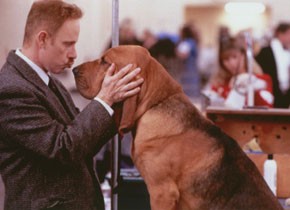 Best in Show Best in Show