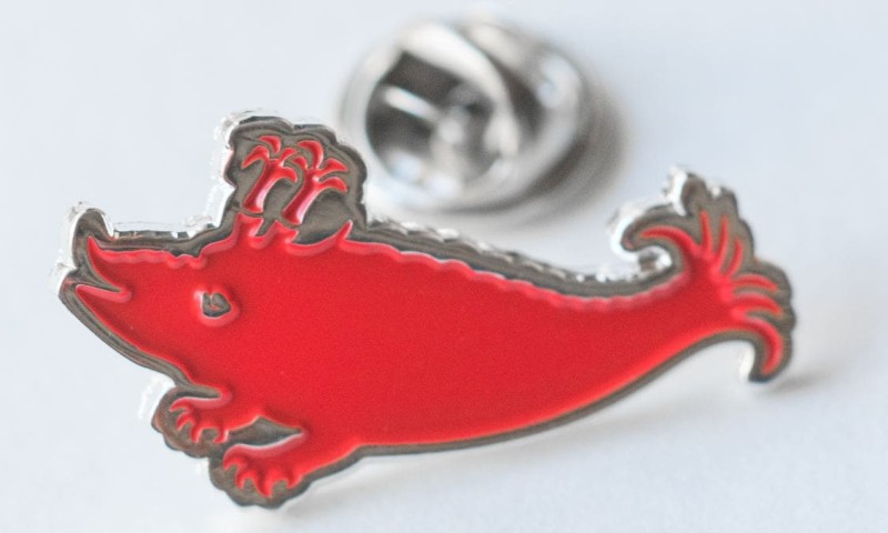 Zyphius Pin Zyphius Pin