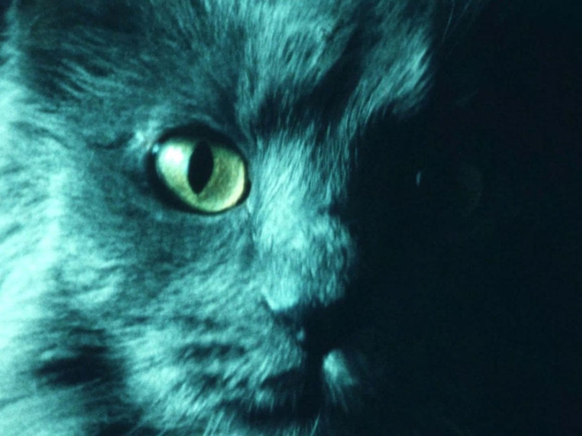 Trailer 20 Jahre Schule für unabhängigen Film