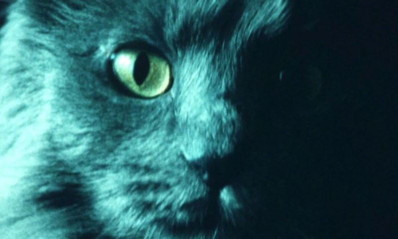 Trailer 20 Jahre Schule für unabhängigen Film