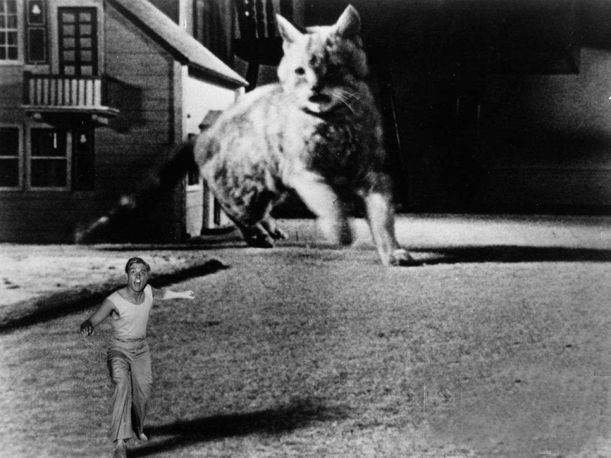 The Incredible Shrinking Man, 1957, Jack Arnold The Incredible Shrinking Man, 1957, Jack Arnold