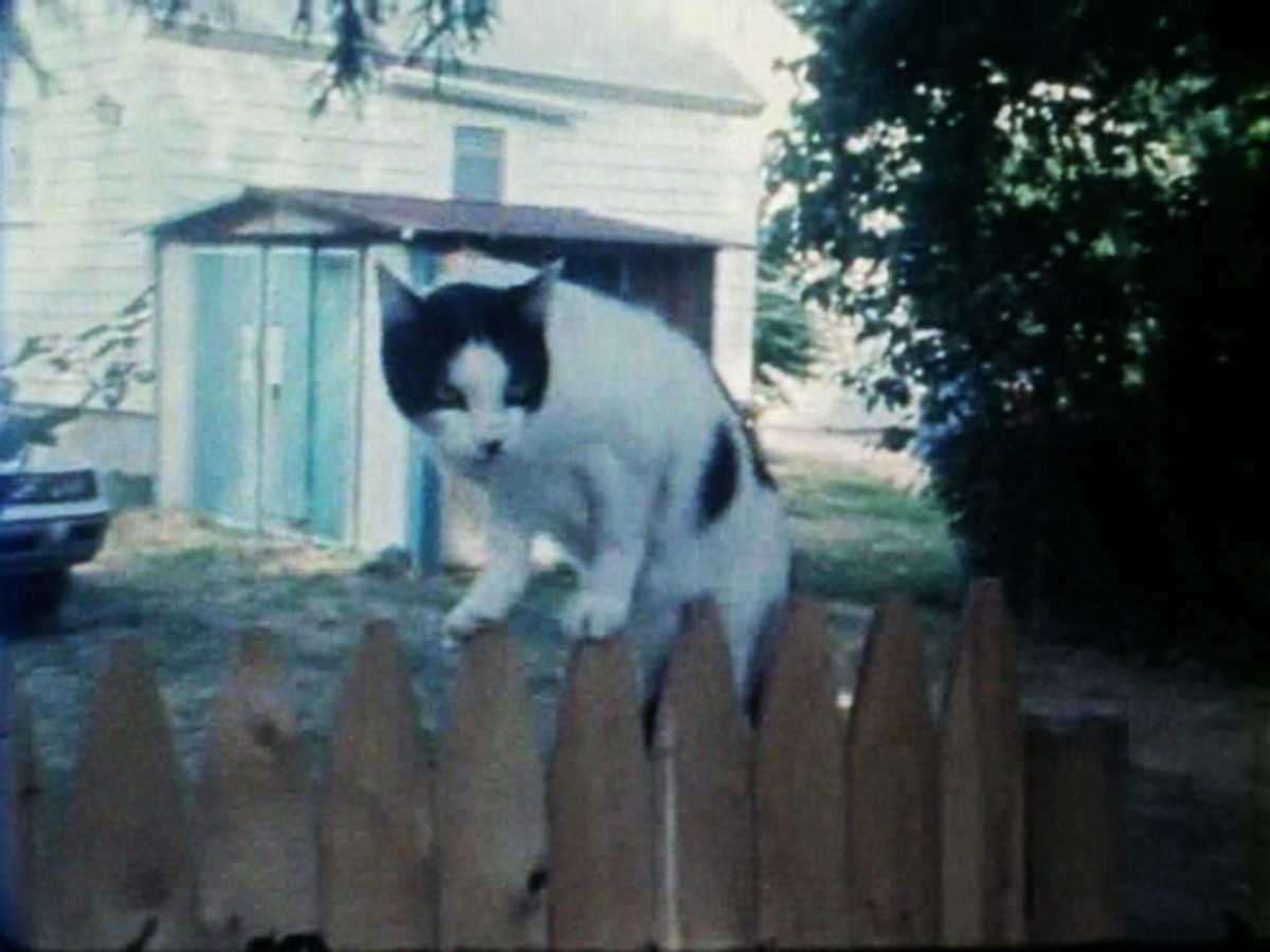 As I Was Moving Ahead Occasionally I Saw Brief Glimpses of Beauty, 2000, Jonas Mekas As I Was Moving Ahead Occasionally I Saw Brief Glimpses of Beauty, 2000, Jonas Mekas