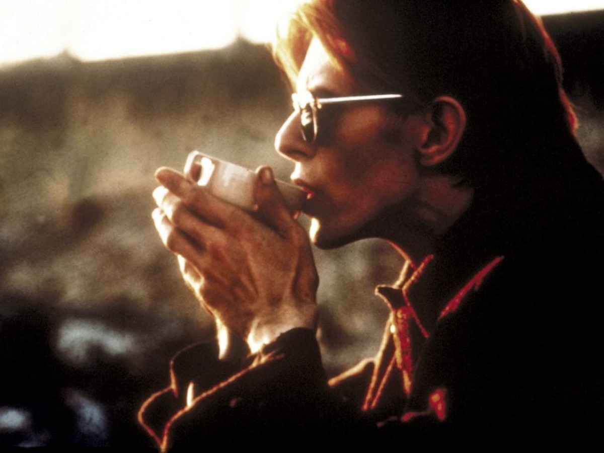 The Man Who Fell to Earth