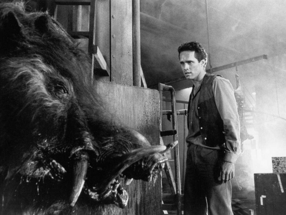 Razorback, 1984, Russell Mulcahy (Foto: National Film and Sound Archive of Australia) Razorback, 1984, Russell Mulcahy (Foto: National Film and Sound Archive of Australia)