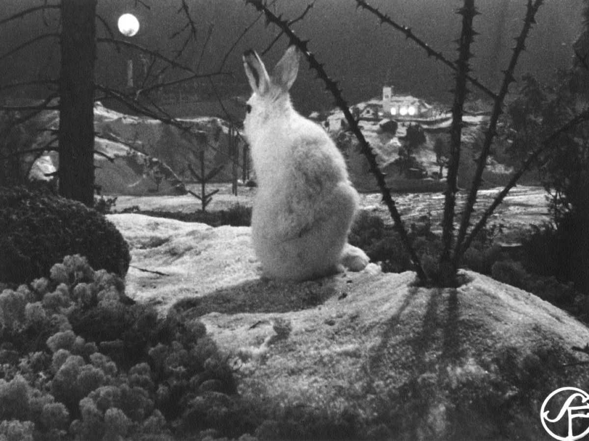 En kluven värld (A Divided World), 1947, Arne Sucksdorff (Foto: Swedish Film Institute) En kluven värld (A Divided World), 1947, Arne Sucksdorff (Foto: Swedish Film Institute)