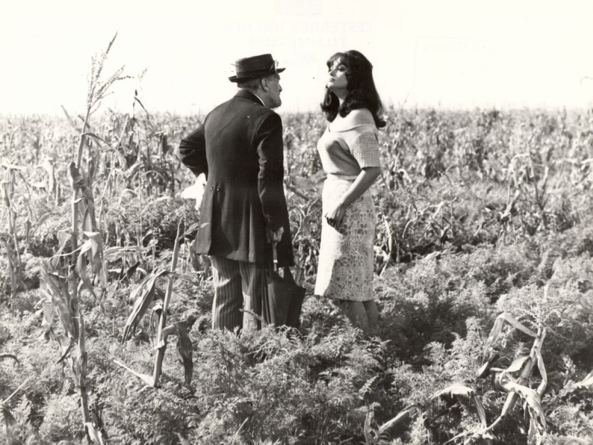 Uccellacci e uccellini (Große Vögel – kleine Vögel), 1966, Pier Paolo Pasolini Uccellacci e uccellini (Große Vögel – kleine Vögel), 1966, Pier Paolo Pasolini