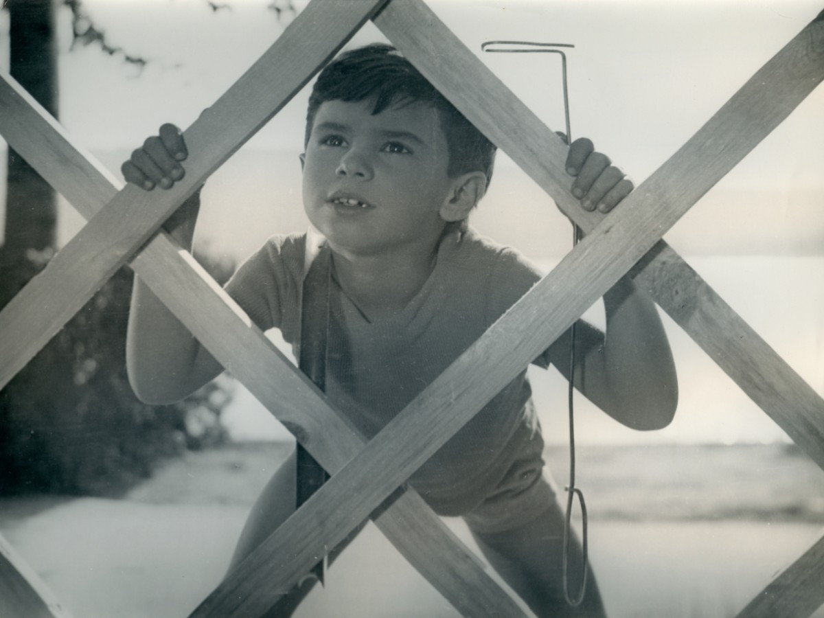 Čelovek idet za solncem (Der Sonne entgegen), 1961, Michail Kalik Čelovek idet za solncem (Der Sonne entgegen), 1961, Michail Kalik