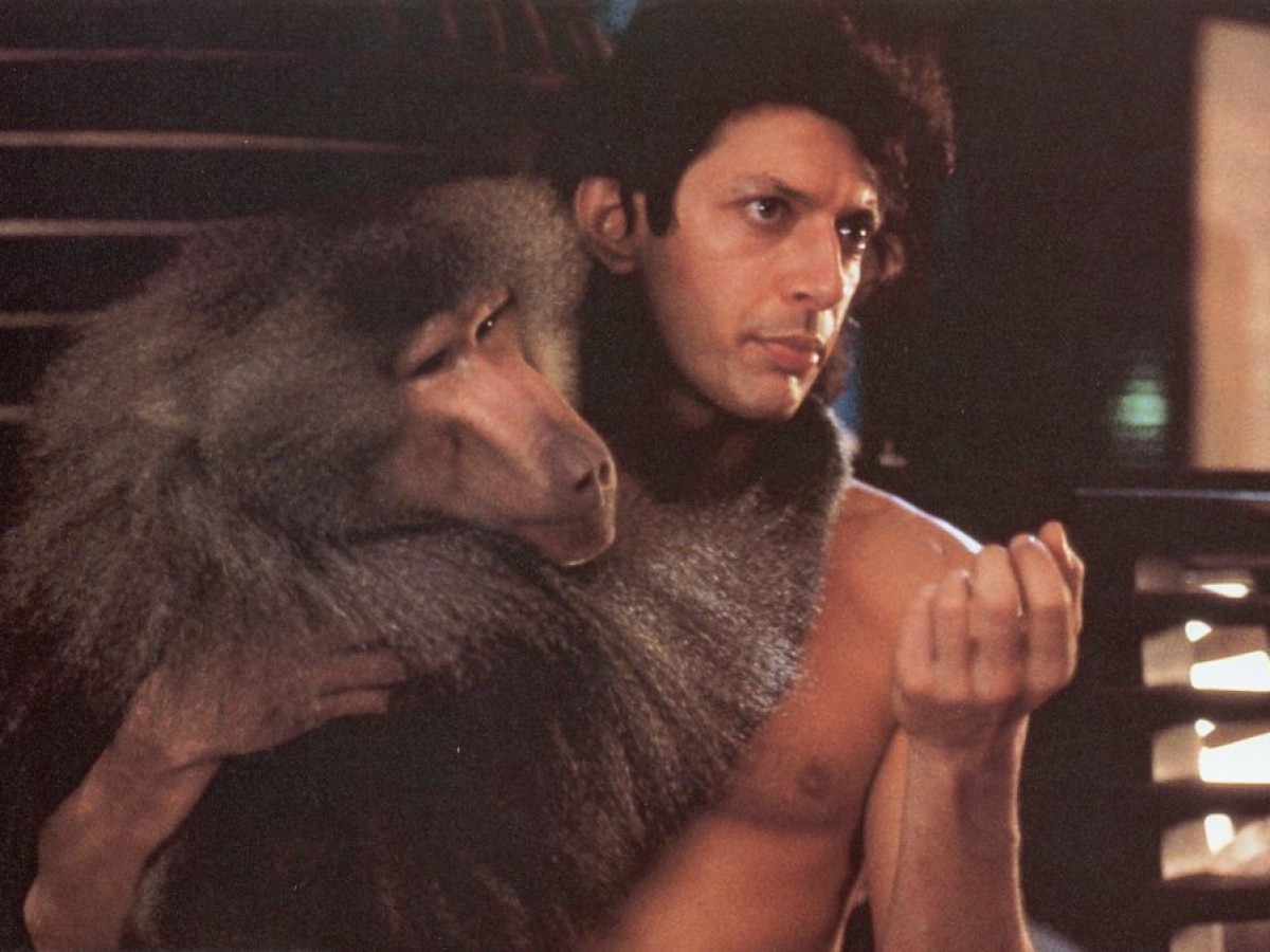 The Fly, 1986, David Cronenberg The Fly, 1986, David Cronenberg