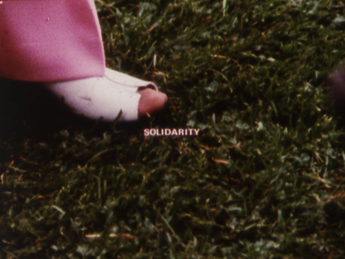 Solidarity, 1973, Joyce Wieland (Foto: Light Cone)