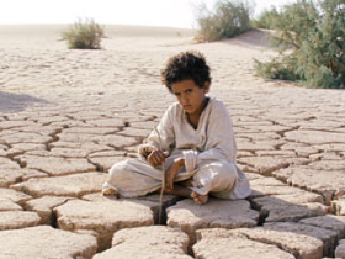 Theeb