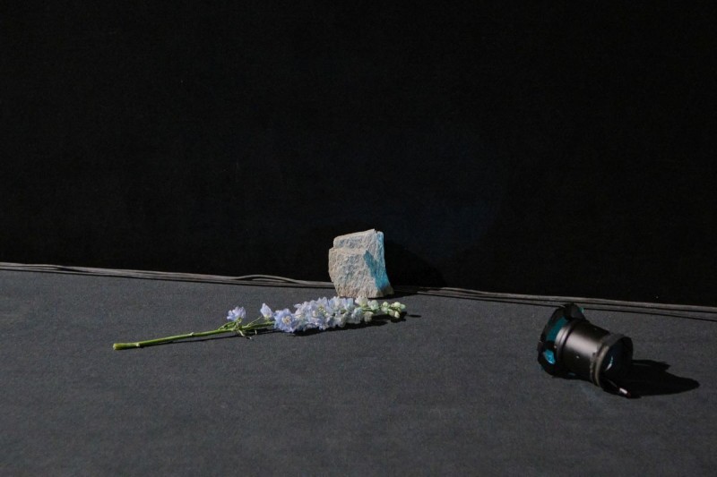 (Foto: ÖFM © Eszter Kondor)