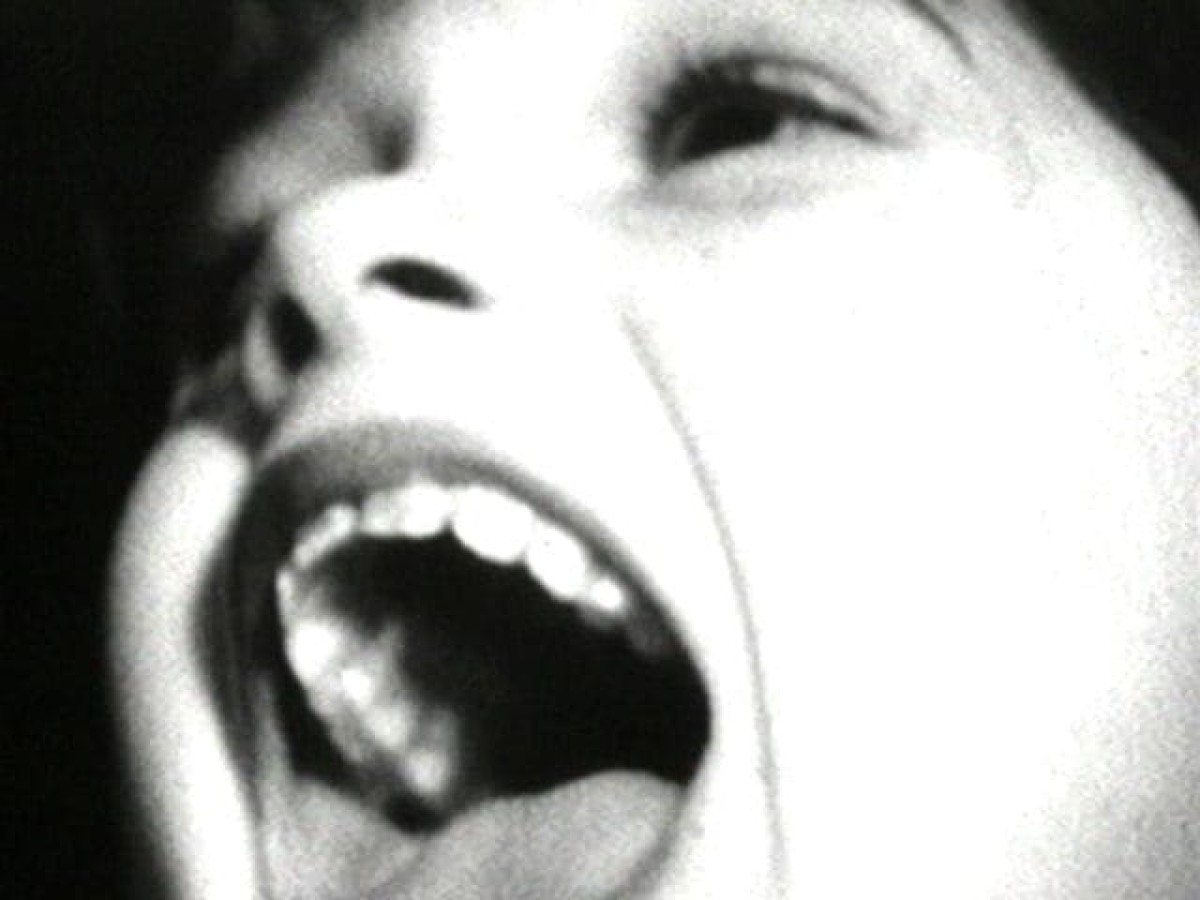 The Scary Movie, 1996, Peggy Ahwesh
