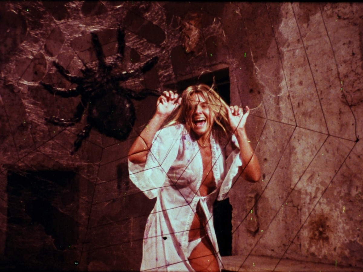 Murder Obsession / Follia omicida, 1981, Riccardo Freda Murder Obsession / Follia omicida, 1981, Riccardo Freda