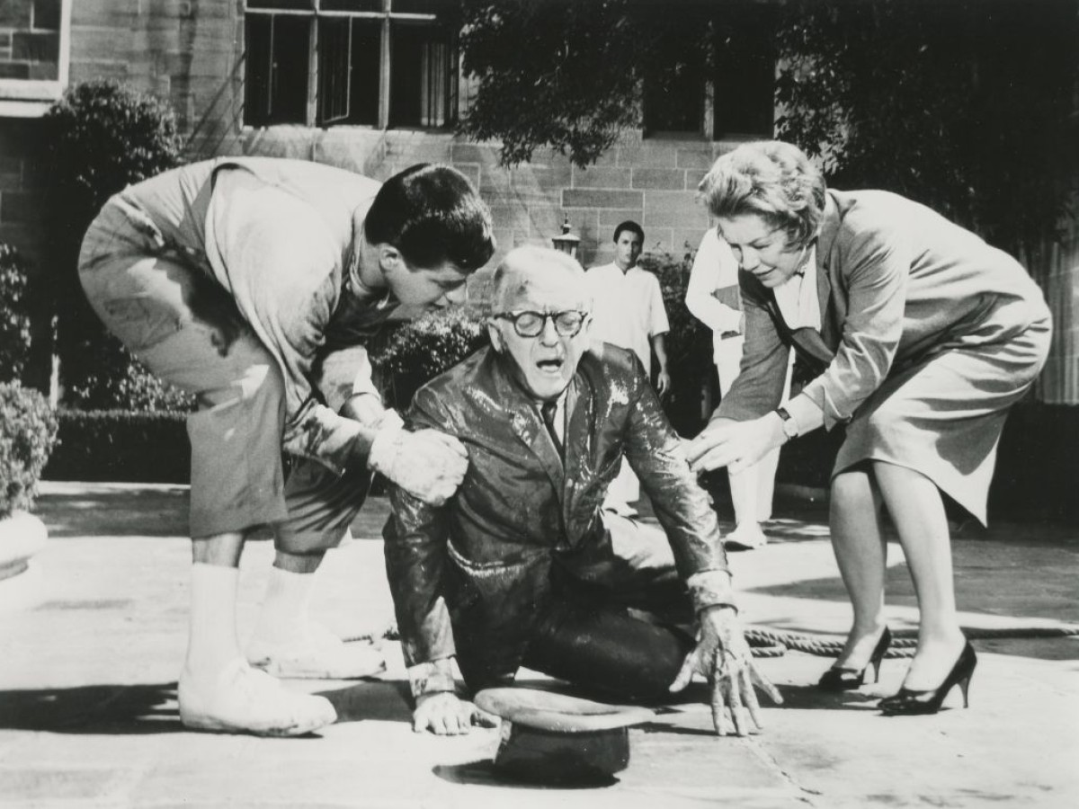 The Disorderly Orderly, 1964, Frank Tashlin The Disorderly Orderly, 1964, Frank Tashlin
