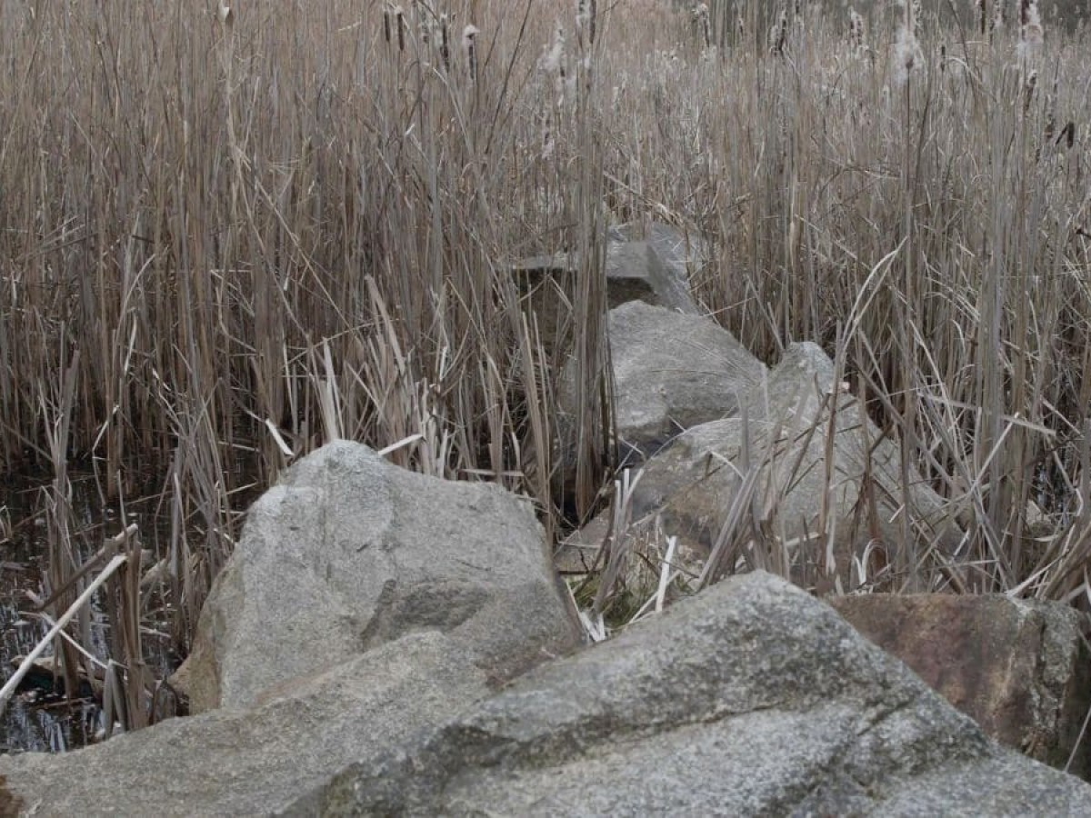 Memory Spaces, 2023, Rosa Andraschek