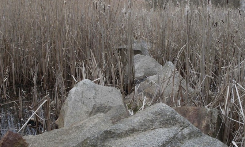 Memory Spaces, 2023, Rosa Andraschek