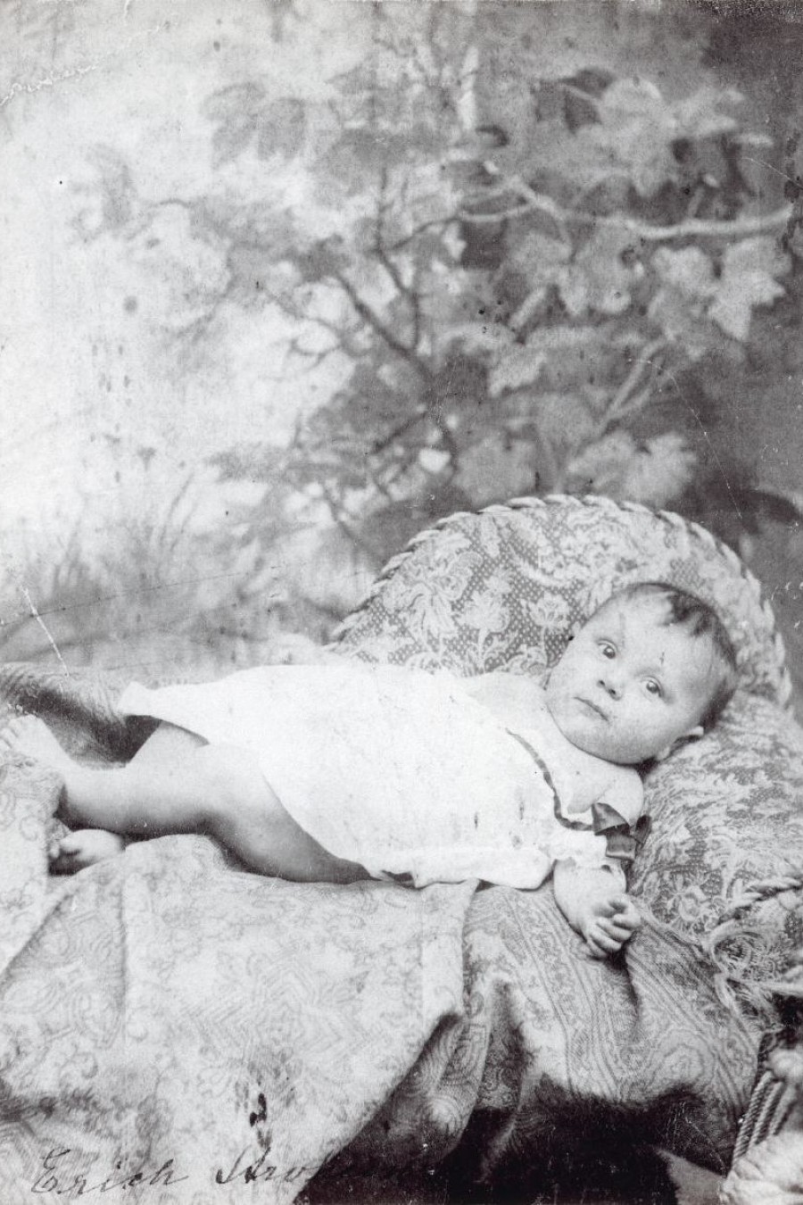 Eines der ersten Fotos von Erich Oswald Stroheim, 1885/1886 