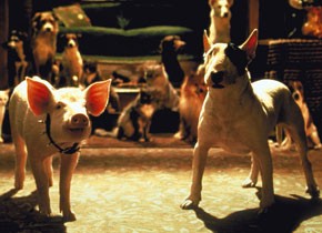 Babe: Pig in the City Babe: Pig in the City