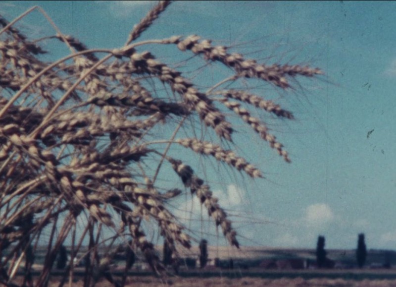 Am Rande der Großstadt, 1965