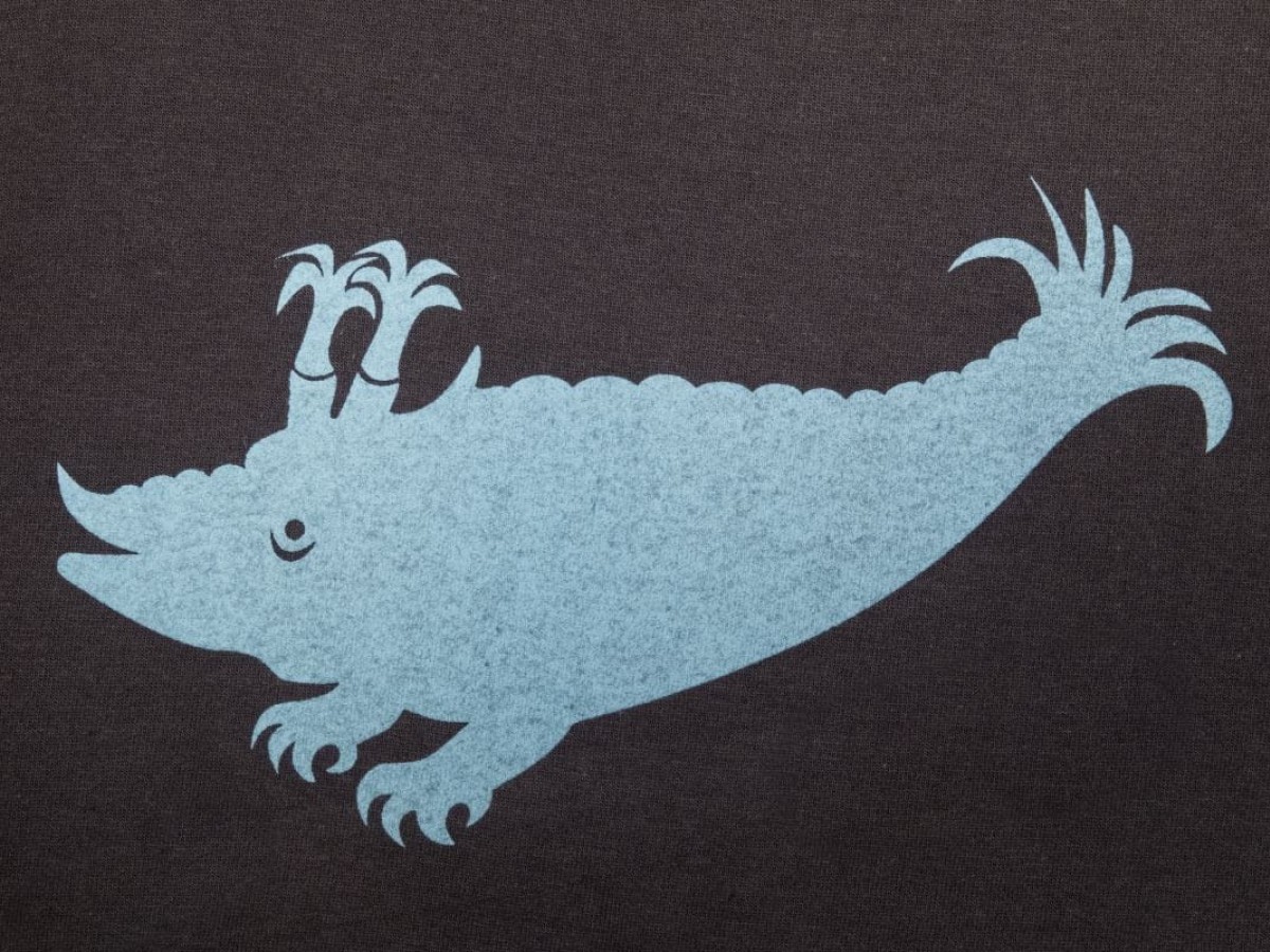 Langarmshirt (Anthrazit / Zyphius hellblau)