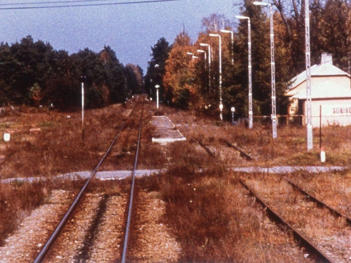 Sobibór, 14 octobre 1943, 16 heures (Sobibor, 14. Oktober 1943, 16 Uhr), 2001, Claude Lanzmann